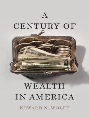 cover image of A Century of Wealth in America